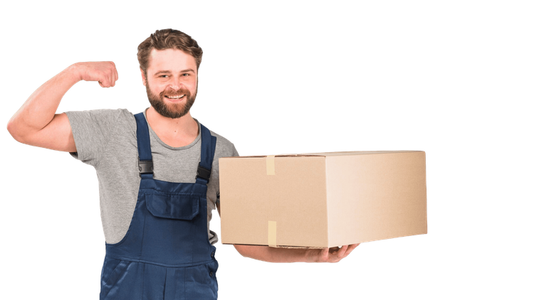 Illustration for booking a rubbish removal quote